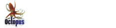 octopus header logo (1)