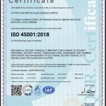 fireshot capture 410